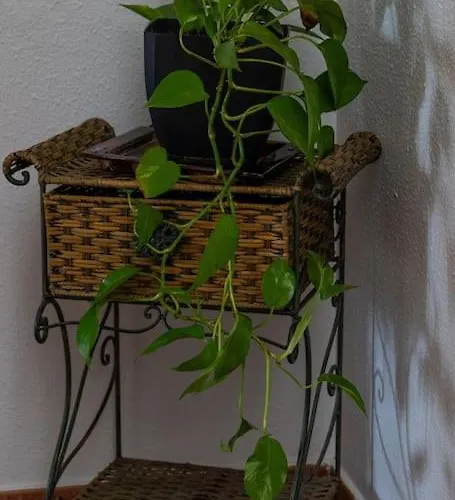 Casa Toriles * Ortigosa del Monte